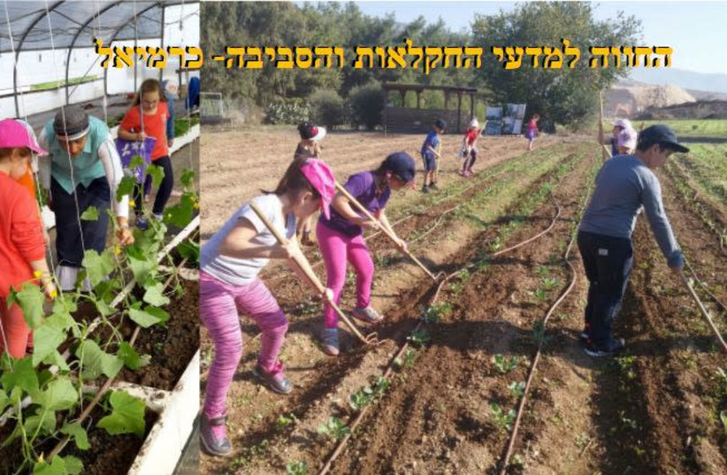 Pupils enjoying agricultural activities on farms. (photo credit: COURTESY EDUCATION MINISTRY)