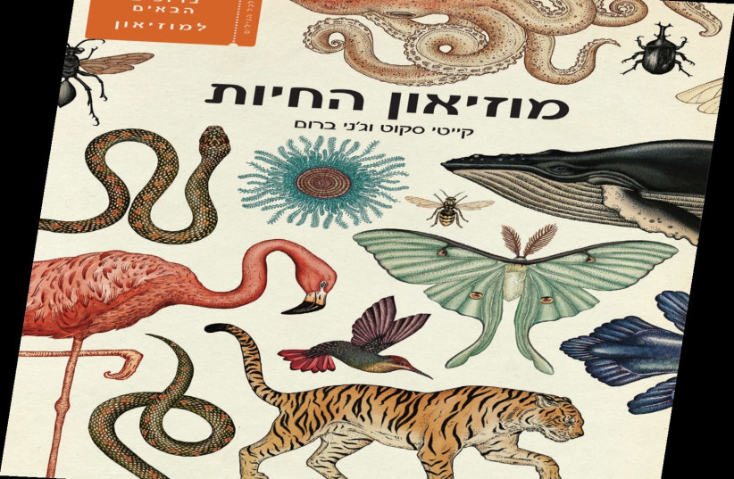 The Hebrew translation of the book "Animal Museum". (photo credit: Courtesy)