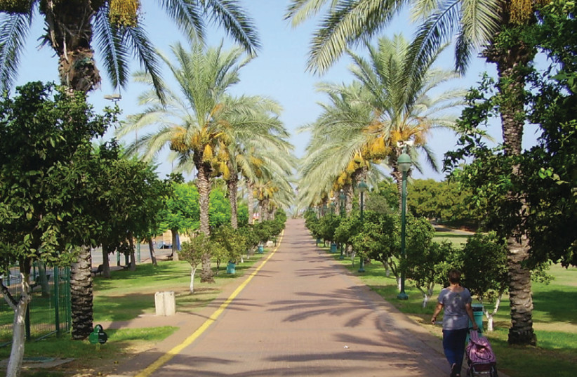 Ra’anana Park (photo credit: Wikimedia Commons)