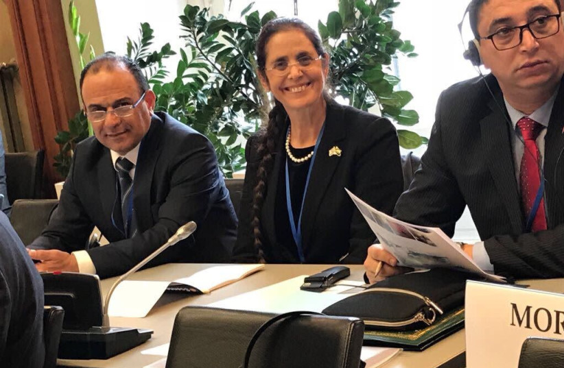 Likud lawmaker Anat Berko at a meeting of the Parliamentary Assembly of the Organization for Security and Cooperation in Europe (photo credit: Courtesy)