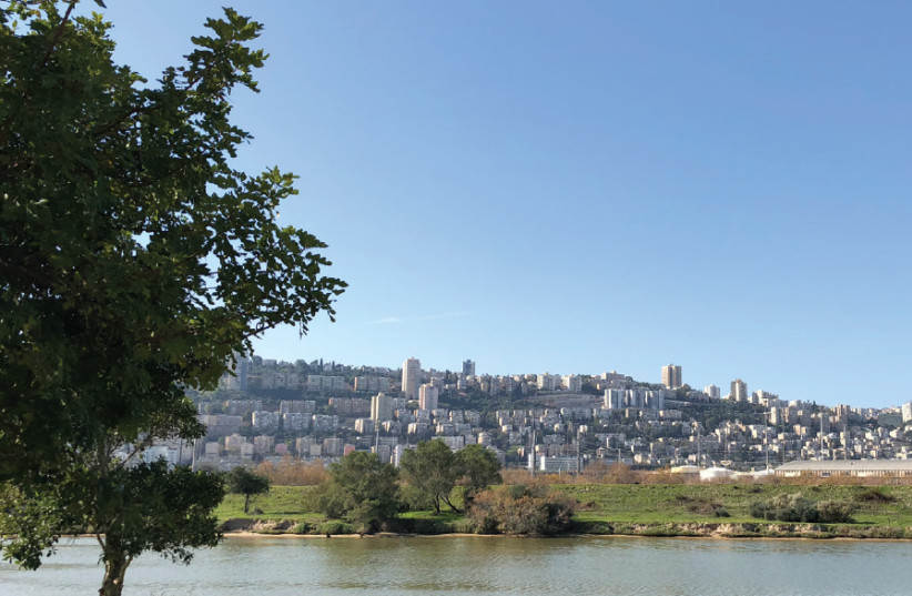 Kishon Park (photo credit: MEITAL SHARABI)