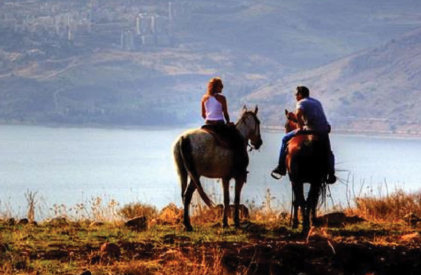VERED HAGALIL Guest Farm lets you saddle up for horseback tours through the Korazim Valley (photo credit: ROY CATELEN)
