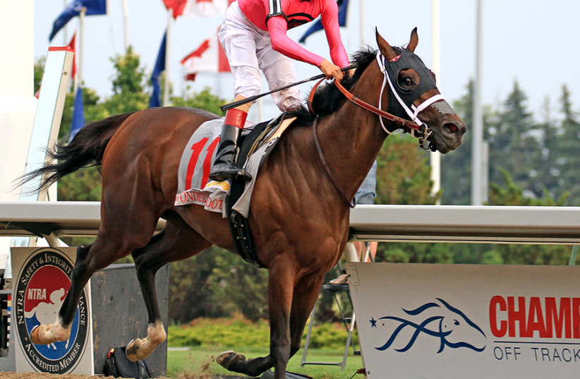 Wonder Gadot, winner of the 2018 Queen's Plate at Woodbine Racetrack, Toronto, Canada, June 30, 2018. Jockey John Velazquez aboard (photo credit: Wikimedia Commons)