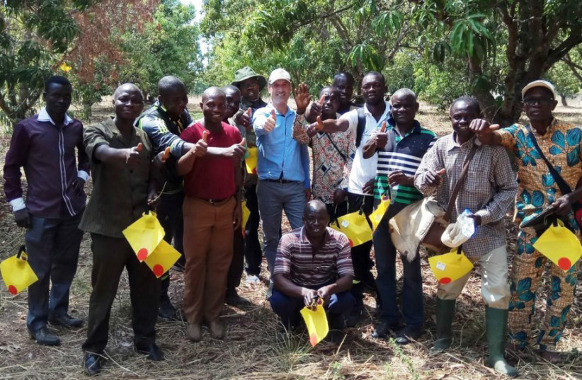 NIMROD ISRAELY and the University of Kara team finish deploying the first mango orchard in Togo (photo credit: Courtesy)