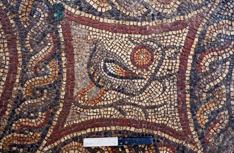A depiction of a bird in the newly discovered Lod mosaic (photo credit: ASSAF PEREZ/ISRAEL ANTIQUITIES AUTHORITY)