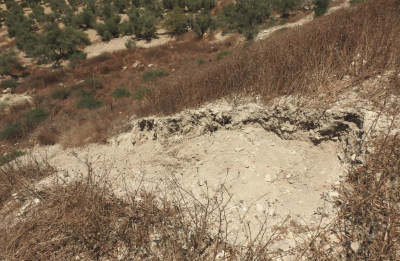 The location where the three Palestinians were caught stealing from Sebastia Archeological Site  (photo credit: COGAT)