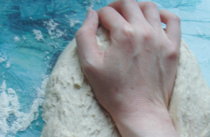 dough kneading (photo credit: Wikimedia Commons)