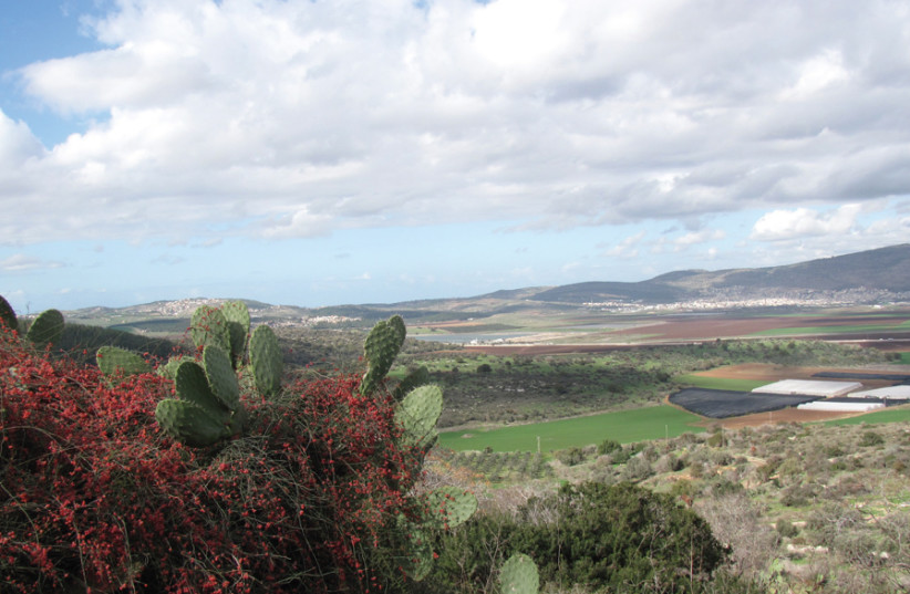 LOWER GALILEE view from Tzipori. (photo credit: Courtesy)