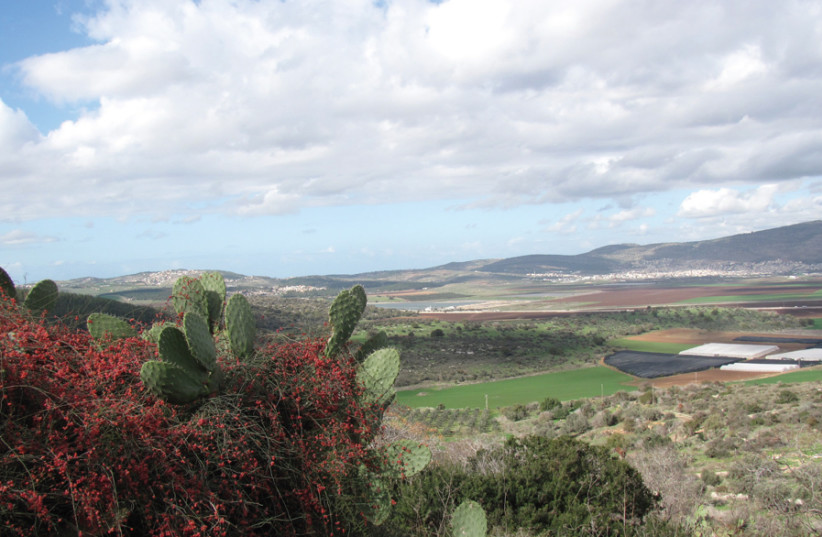 Israel to give olim moving to the Negev, Galilee grant package - Vimarsana News