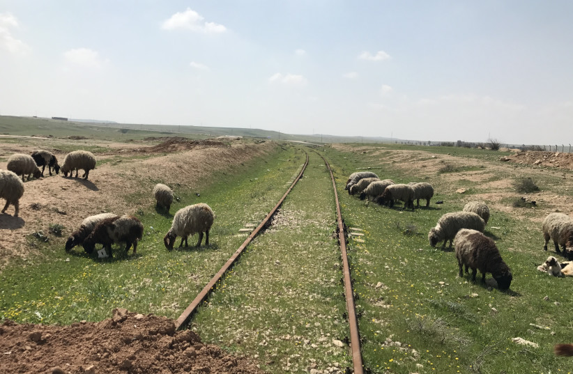 Train tracks south of Mosul in 2017. Many trains in the region are in need of investment to link the region in a network. (photo credit: SETH J. FRANTZMAN)