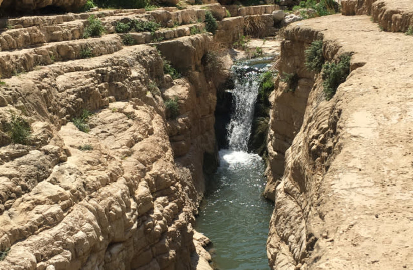 Hike of the Month – Wadi Qelt - The Jerusalem Post