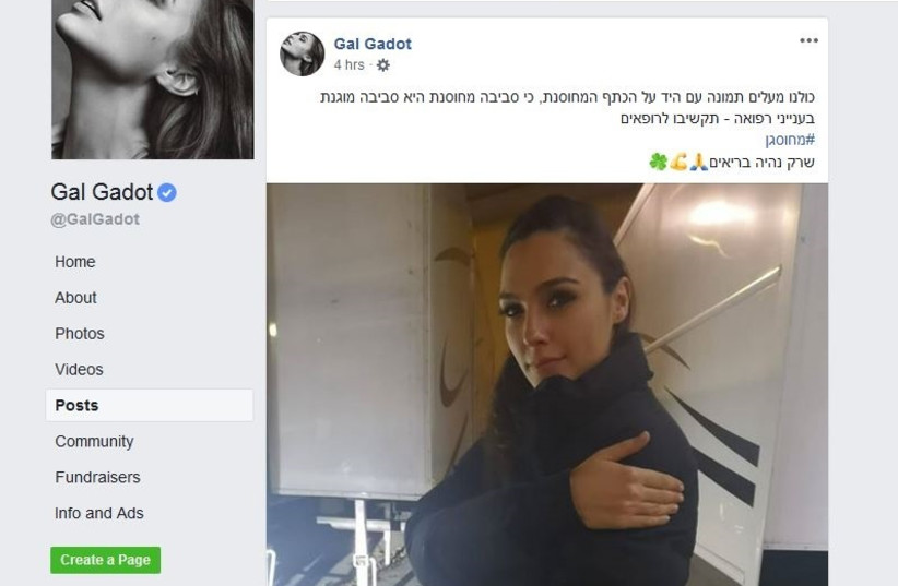 Actress Gal Gadot joined an ongoing campaign in favor of vaccines (photo credit: FACEBOOK SCREENSHOT)