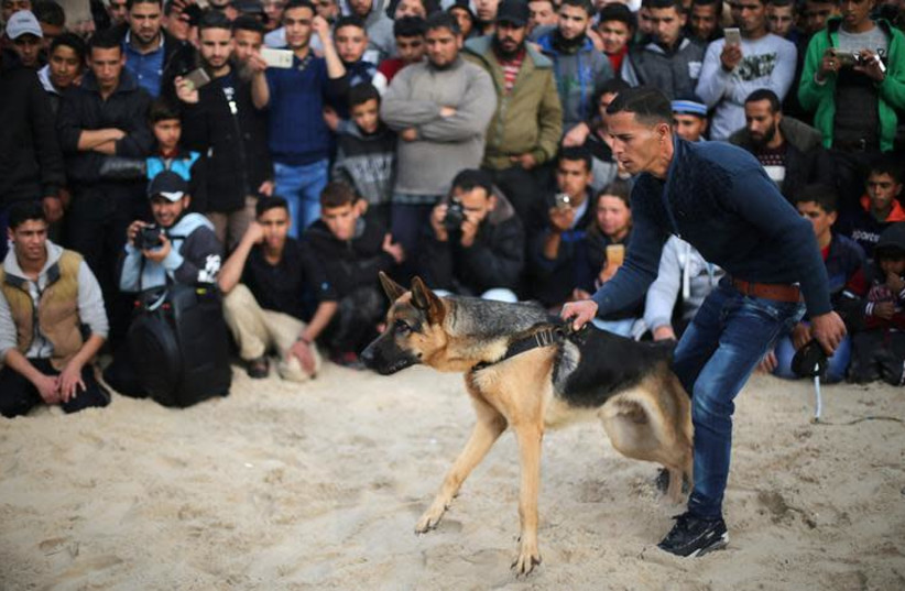 A Palestinian man holds a dog during a dog show organised by local breeders in Rafah in the southern Gaza Strip February 9, 2018. (photo credit: IBRAHEEM ABU MUSTAFA / REUTERS)