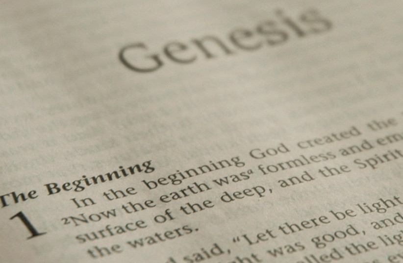 ‘THE BOOK of Genesis [gives us] an accurate picture of the values the Torah wishes to bequeath to us.’ (photo credit: IAN BAILEY-MORTIMER/FLICKR)