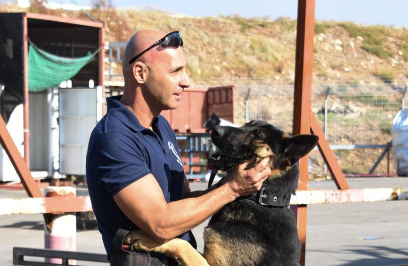 Czech dogs land in Israel to take on roles in police service  (photo credit: POLICE SPOKESPERSON'S UNIT)