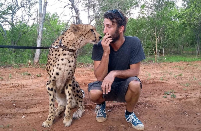 Ofer Cohen and Sylvester the cheetah, the Israeli spent 13 years seeing the world until his tragic death  (photo credit: FACEBOOK)