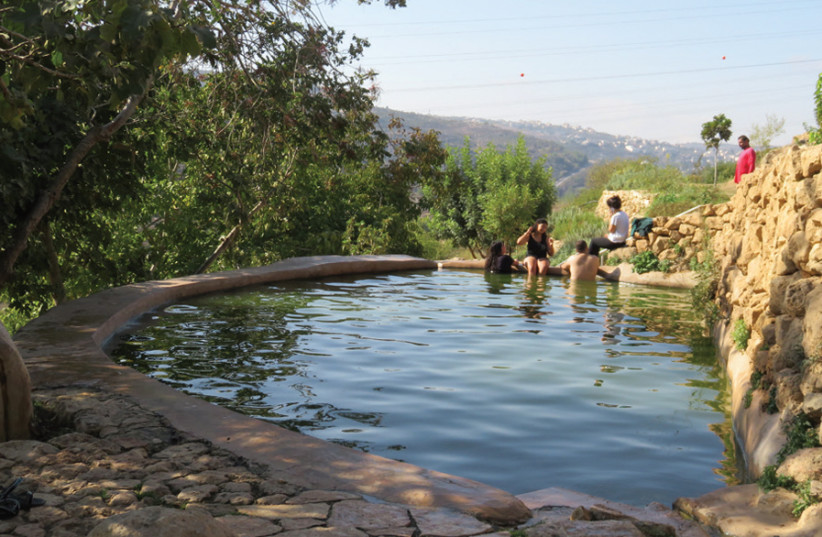 The water pools and flowery terraces of Reches Lavan are in danger. (photo credit: AVRAHAM SHAKED)
