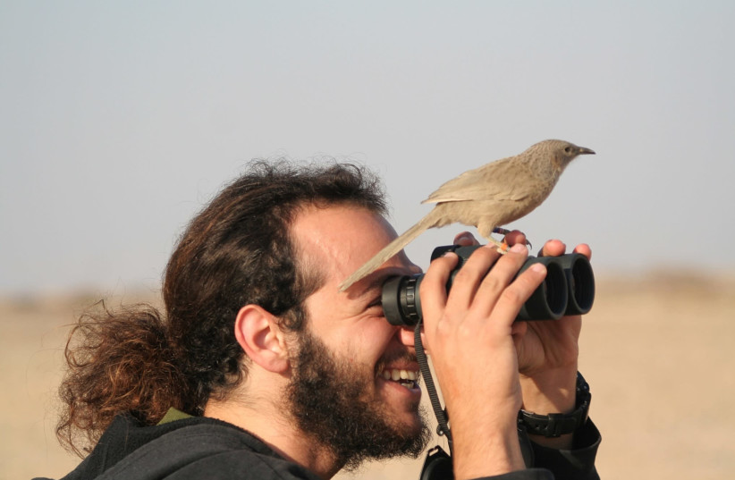 A laughingthrush lands on a birdwatcher's binoculars. (photo credit: Courtesy)