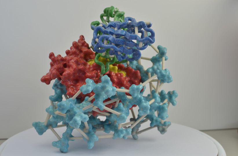 3D print of HIV surface protein gp120. An antibody also is attached at the top (green and blue). When antibodies stick to viruses, they may prevent or limit infection of host cells.  (photo credit: NIH)