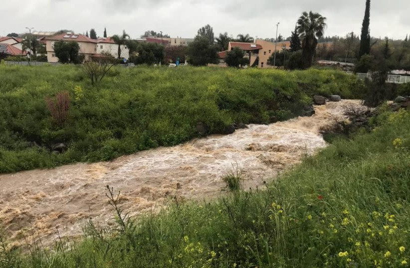 Water rushes down the Katzrin stream in the Golan Heights, as late rains covered Israel, March 31, 2019 (photo credit: YUVAL BAGNO)