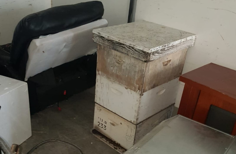 Confiscated bee hives (photo credit: ISRAEL POLICE)