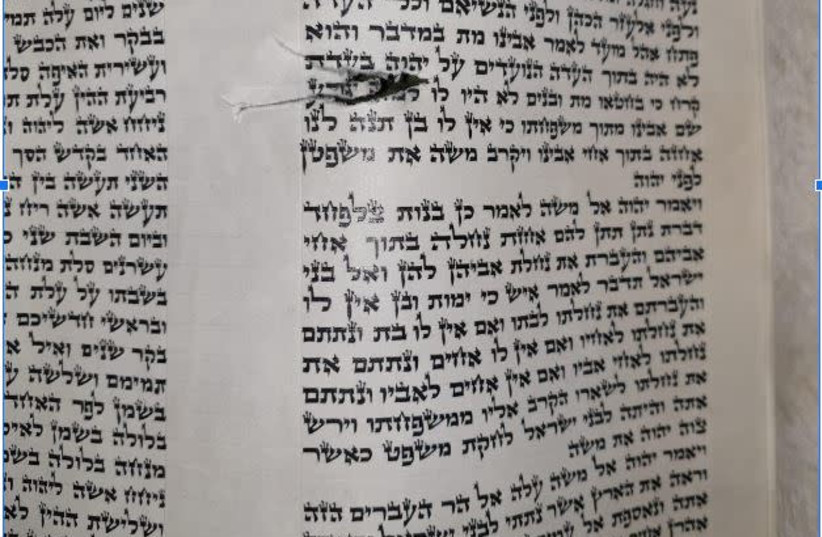 Torah scroll (photo credit: Courtesy)