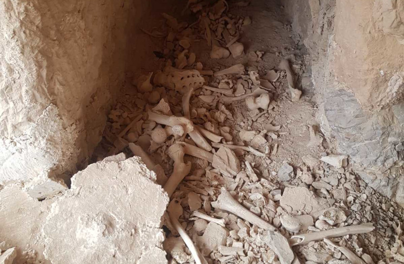 2,000 year-old bones discovered in Jericho (photo credit: REGAVIM MOVEMENT)
