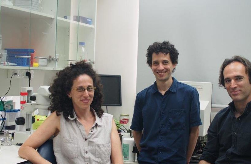 Tel Aviv University researchers Rachel Posner (L), Itai Toker (C) and Prof. Oded Rechavi (photo credit: TEL AVIV UNIVERSITY)