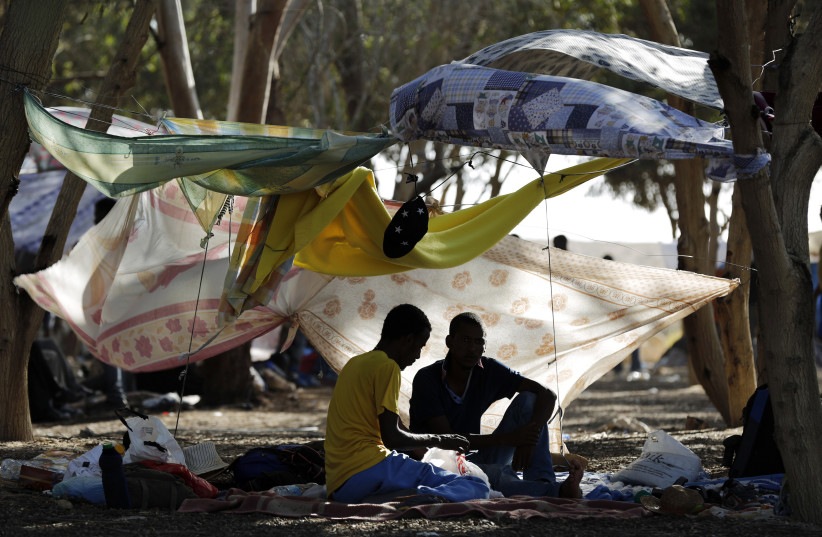African asylum seekers gather in the shade of trees during a protest in southern Israel's Negev desert (credit: FINBARR O'REILLY / REUTERS)