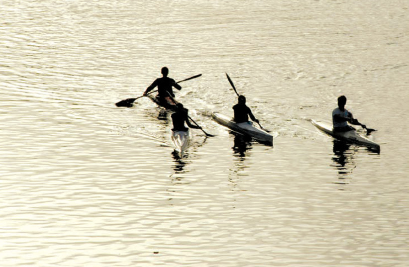Kayakers find 8,000-year-old human skull in Minnesota River - Vimarsana News