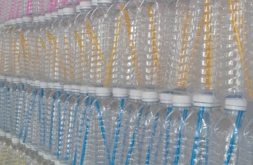 Are Israel’s plastic bottles being recycled? (credit: PUBLICDOMAINPICTURES.NET)