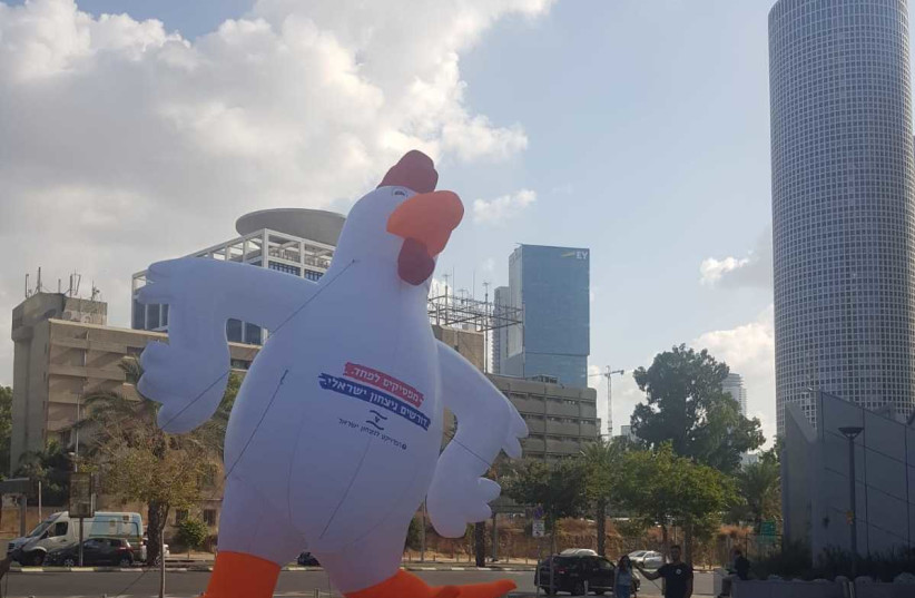 IVP protest chicken in front of the Kirya in Tel Aviv, Aug. 19, 2019 (photo credit: Courtesy)