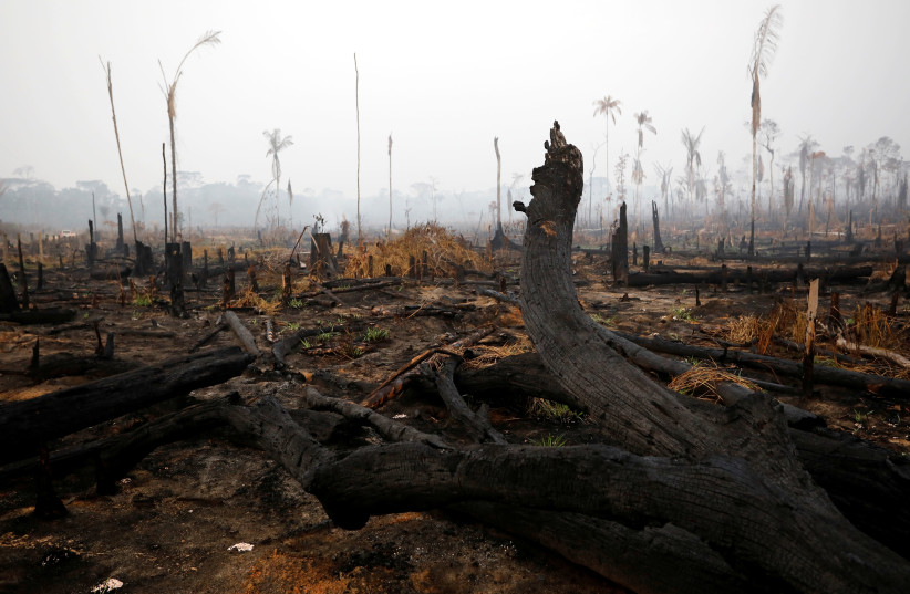 A tract of Amazon jungle is seen after a fire in Boca do Acre, Amazonas state, Brazil August 24, 2019 (photo credit: BRUNO KELLY/REUTERS)