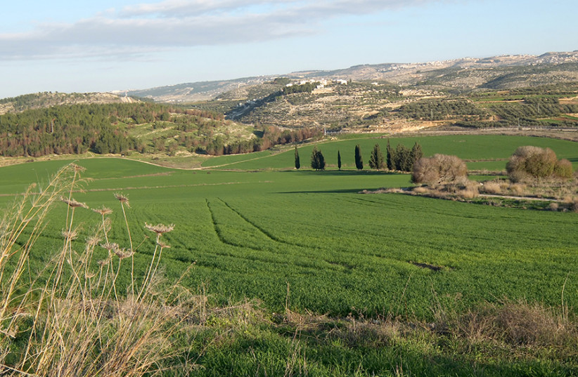 ‘TO WHOM, however, did Eretz Yisrael belong?’ Pictured: The Elah Valley. (credit: Wikimedia Commons)