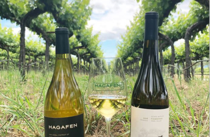 HAGAFEN WINES were the first quality kosher dry wines in California. (photo credit: HAGEFEN CELLARS)