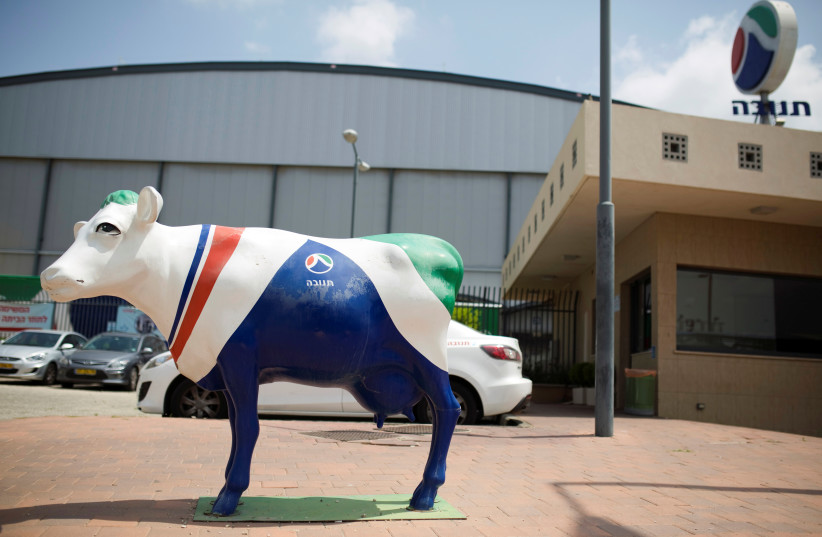 A statue of a cow painted in the colours of dairy firm Tnuva's logo stands outside the company's logistic centre in the southern town of Kiryat Malachi, Israel (photo credit: AMIR COHEN/REUTERS)
