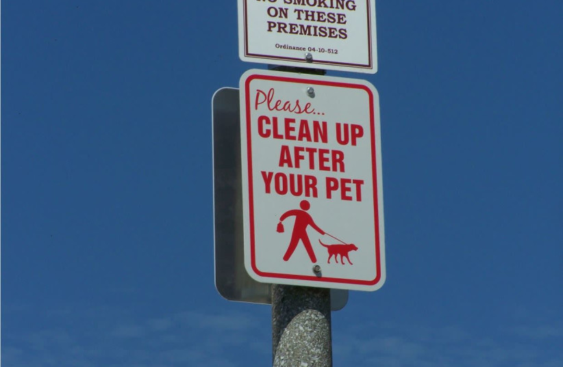 SAFRA SQUARE is cracking down on delinquent dog owners. (photo credit: FLICKR)