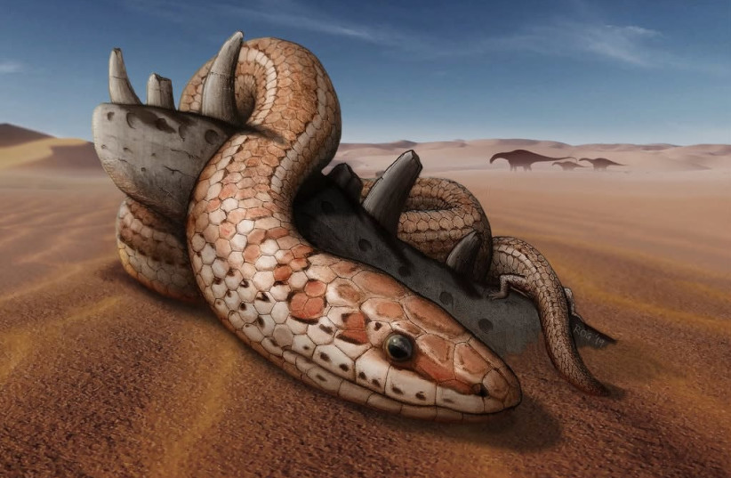 An artist’s rendering of a Najash snake in Patagonia with its hind limbs (photo credit: RAÚL ORENCIO GÓMEZ)