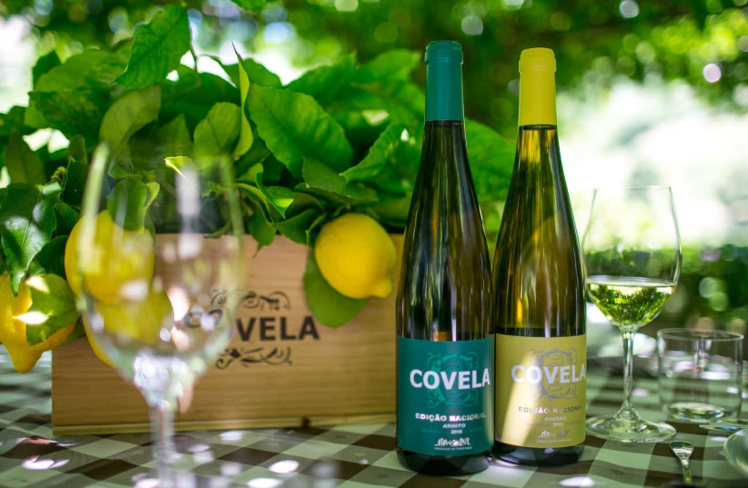 REFRESHING VINHO Verde white wines at the beautiful Covela Winery.   (photo credit: QUINTA DA COVELA)