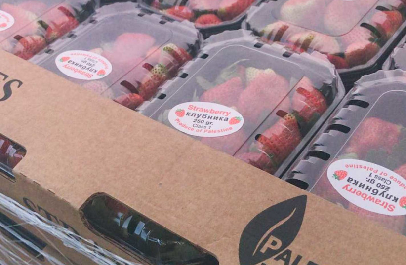 Inspectors seize 400g of strawberries illegally imported from Gaza - Vimarsana News