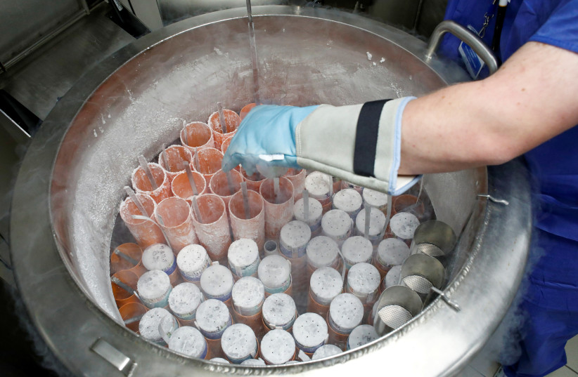 A medical technician prepares embryo and sperm samples for freezing at the Laboratory of Reproductive Biology CECOS of Tenon Hospital in Paris, France, September 19, 2019 (photo credit: REUTERS/BENOIT TESSIER)