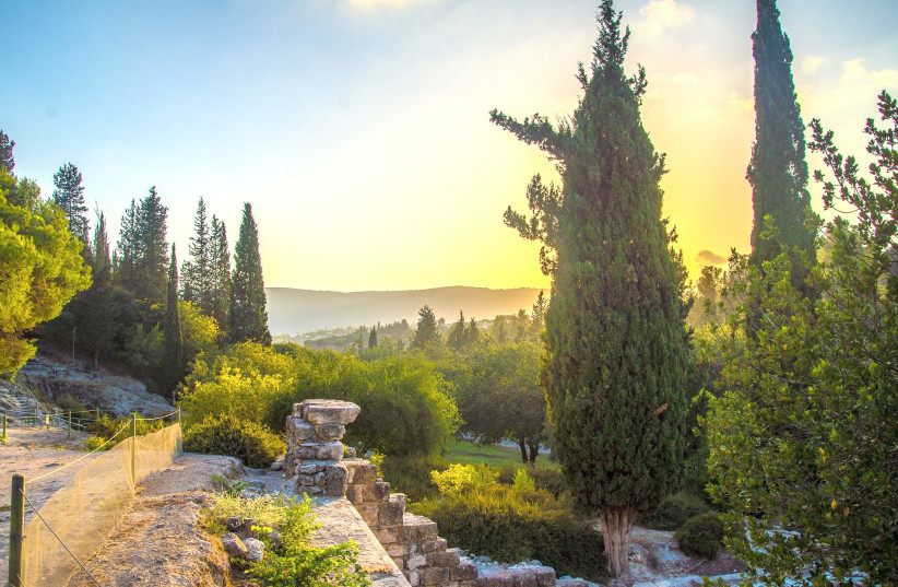 BEIT SHE’ARIM functioned as the second-century seat of Rabbi Yehuda Hanassi. (credit: MANU GREENSPAN)