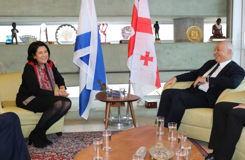 Georgian President Salome Zourabichvili meets with Peres Center chairman Chemi Peres. (photo credit: COURTESY PERES CENTER)