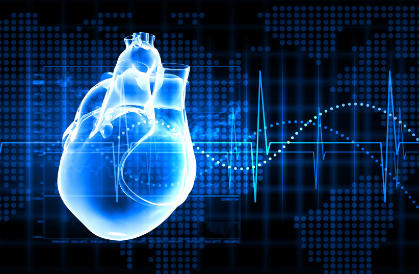 Virtual image of human heart  (photo credit: ING IMAGE/ASAP)