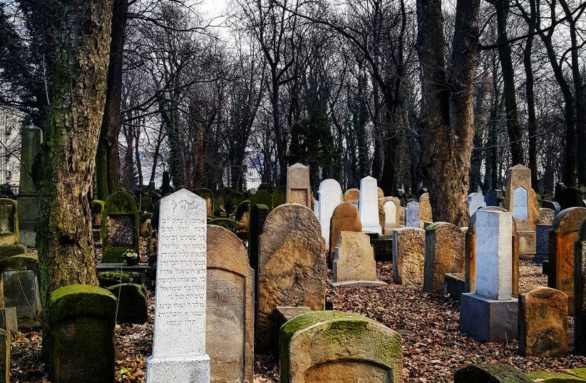 Inside the story: The New Jewish Cemetery in Krakow was established in 1800 and has over 20 sections. (credit: ILANIT CHERNICK)