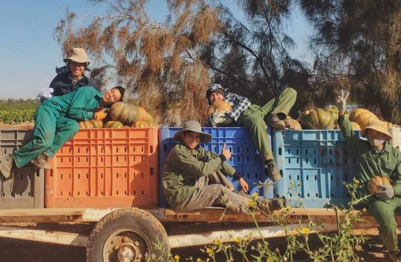 Students at the Arava International Center for Agriculture Training (photo credit: Courtesy)