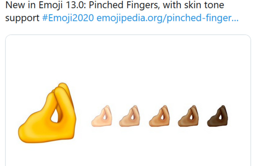 Pinched fingers emoji (photo credit: TWITTER)