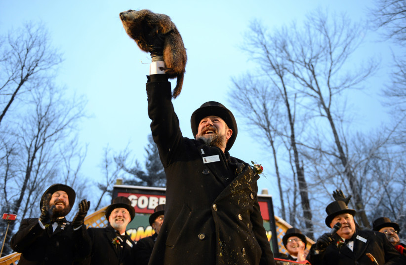Punxsutawney Phil's co-handler AJ Dereume holds the famous groundhog on the 134th Groundhog Day at Gobblers Knob in Punxsutawney, Pennsylvania, U.S., February 2, 2020. (photo credit: ALAN FREED/REUTERS)