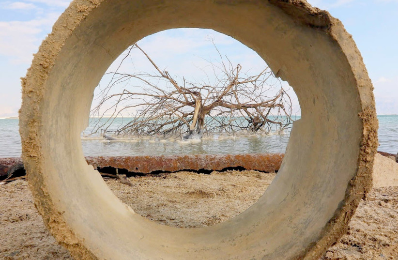Abandoned concrete frames a tree frighting for life (photo credit: RICHARD SHAVEI-TZION)