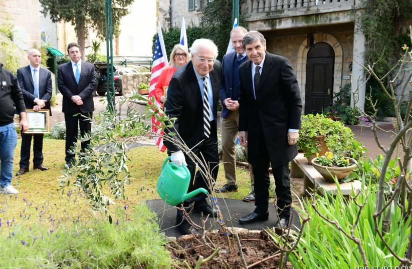 Ambassador Friedman plants olive tree, a symbol of peace, together with KKL-JNF World Chairman Daniel Atar  (photo credit: RAFI BEN HAKOON KKL-JNF PUBLIC DIPLOMACY DEPARTMENT)